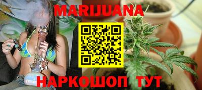 сатива Аргун
