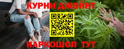 сатива Аргун