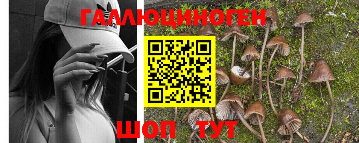 Псилоцибиновые грибы ЛСД  Галлюциногенные грибы MAGIC MUSHROOMS  Вход с VPN  Белореченск 