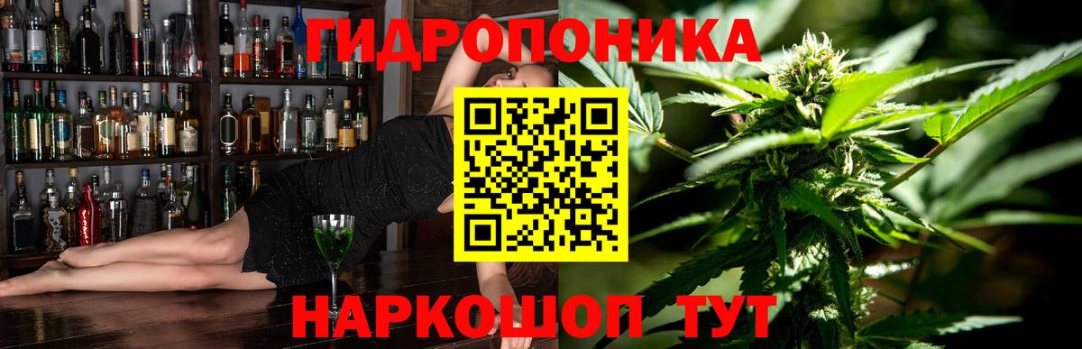 Каннабис сатива Белореченск